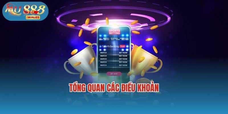Tổng quan các điều khoản