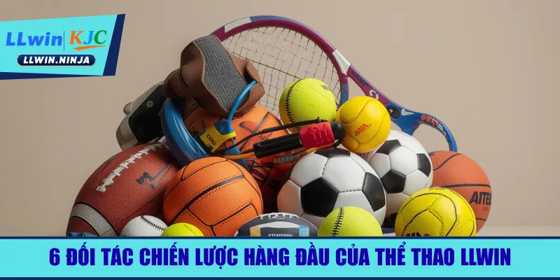 6-doi-tac-chien-luoc-hang-dau-cua-the-thao-llwin